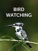 Bird watching vacations & bird watching tours - Responsible Travel