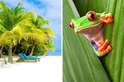 Belize vs. Costa Rica for Vacation - Which one is better?