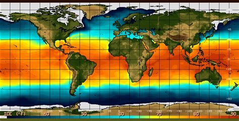 Wetsuit Water Temperature Chart and Guide for Divers - 360Guide