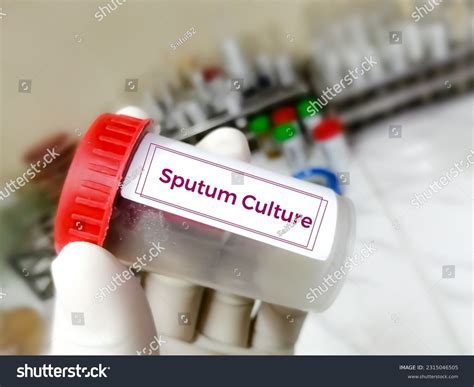 Sputum Collection Container