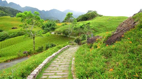 Mountain path HD desktop wallpaper : Widescreen : High Definition : Fullscreen