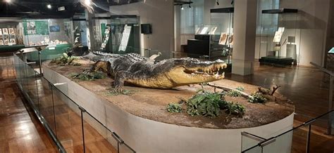 The Sad Tale of Lolong (National Museum of Natural History, Manila) – B.L.A.S.T. – Live Life to ...