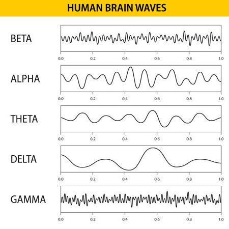 Alpha Waves | Overview, Definition & Types | Study.com