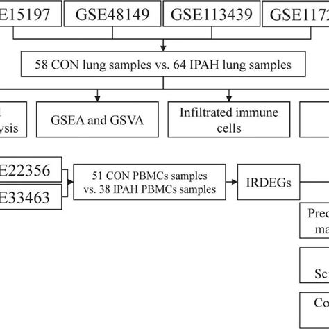 The flow chart of analysis in this study. CON, control; IPAH,... | Download Scientific Diagram