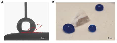 Fig. S10. Surface hydrophobicity of printed structures. (A) Contact ...