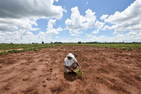 Severe Land Degradation in Malawi - The Borgen Project