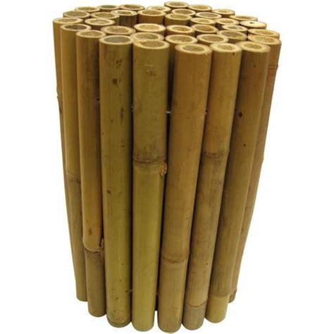 Bamboo Grove Photo: Bamboo Edging For Garden