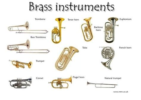 Brass Instruments | Instrument families, Brass instruments, Brass ...