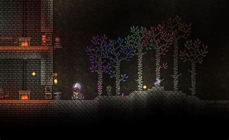 Terraria: How to Grow Gem Trees & Plant Gemcorns