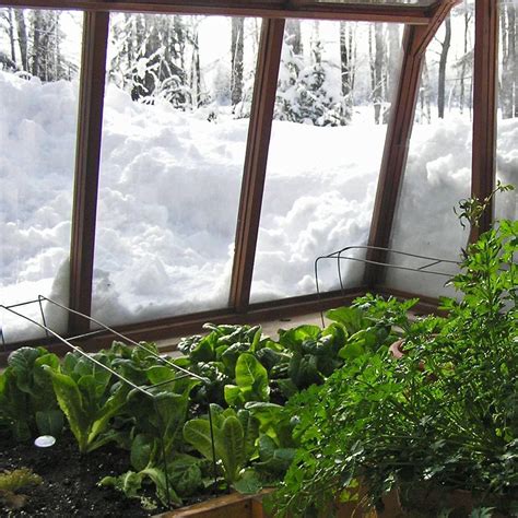 Greenhouse in the snow... Sturdi-Built Greenhouse | Winter greenhouse, Garden spaces, Greenhouse ...