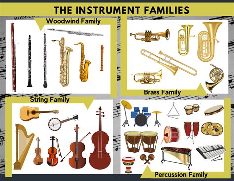 Instruments of Western Orchestra | 65 plays | Quizizz