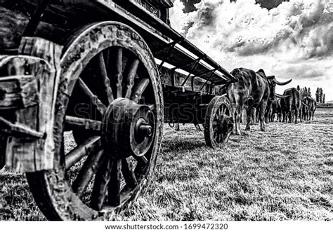 1,435 Ox Wagon Images, Stock Photos & Vectors | Shutterstock