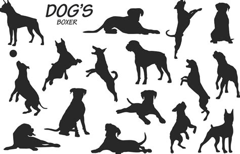 boxer dog silhouettes 11816425 Vector Art at Vecteezy