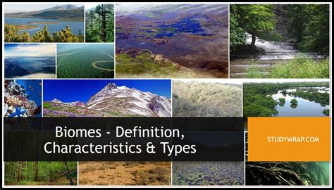 Biomes - Definition, Characteristics and Types - Study Wrap