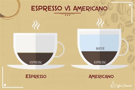 Espresso vs Americano: What's the Difference? | Coffee Affection