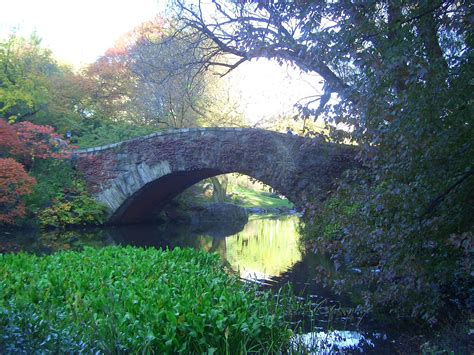 Uc davis arboretum – Artofit