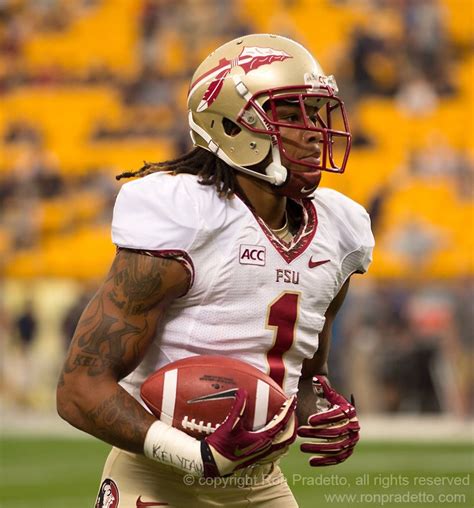 Football helmets, Florida state university, Florida state