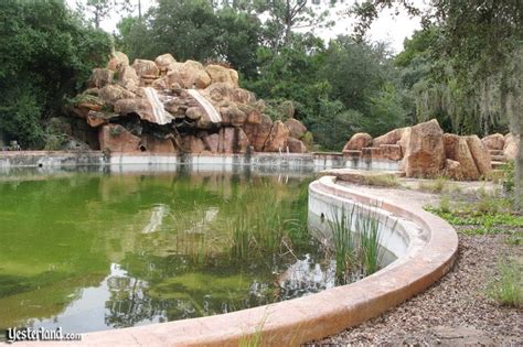 Pool at Disney’s abandoned River Country water park being drained and ...