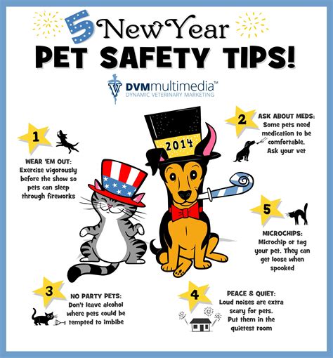 New Year's Pet Safety | Pet safety, Pet care, Dog care tips