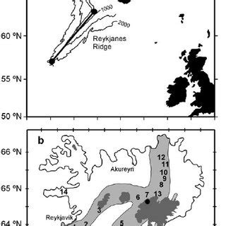 Map of the sampled regions along the Reykjanes Ridge and on Iceland.... | Download Scientific ...