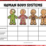 8 Free Printable Human Body Systems Worksheets For Kids
