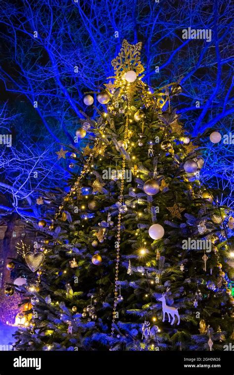 Christmas tree in Vienna, Austria Stock Photo - Alamy