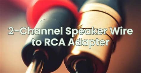 2-Channel Speaker Wire to RCA Adapter - All For Turntables