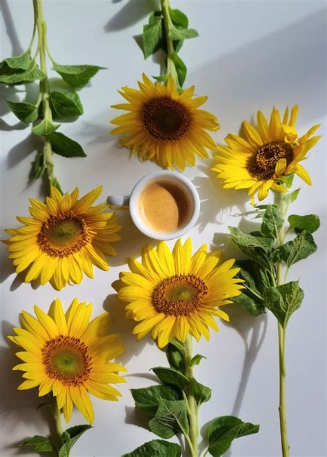 Pin by Joelma Limeira on Coffee and flowers ☕🌹🌷💐 in 2024 | Coffee vs tea, Flowers, Yellow aesthetic
