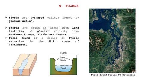 Estuaries ecosystem