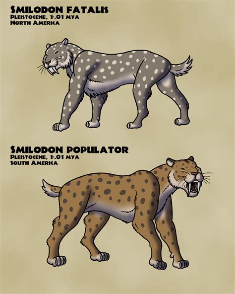 ArtStation - Smilodon North and South