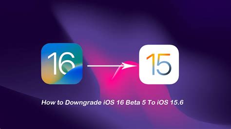 [Top Guide] How to Downgrade iOS 16/17 to iOS 15/16?