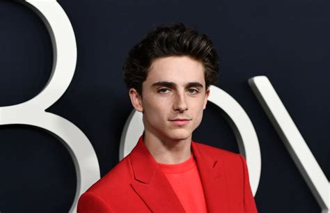 Wes Anderson’s New, Extremely French Film Will Star Timothee Chalamet ...