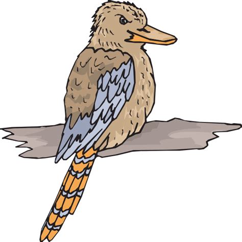 Kookaburra Clip Art at Clker.com - vector clip art online, royalty free & public domain