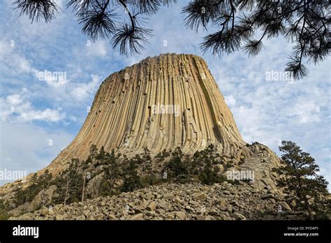 Devils Tower summit seen through the trees Stock Photo - Alamy