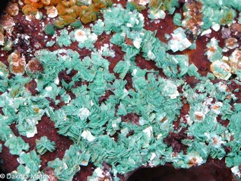 Torbernite Mineral Specimen For Sale