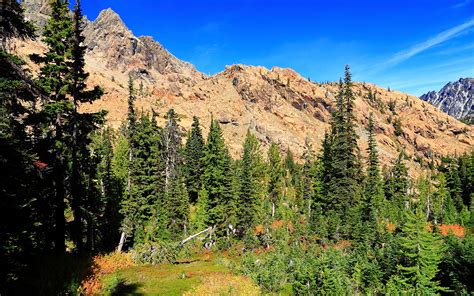 Images USA Leavenworth Nature Mountains forest Scenery 1920x1200