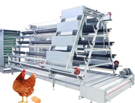 Egg Layer Chicken Farming Automatic Poultry Breeding Equipment - Poultry Farm Equipment and ...