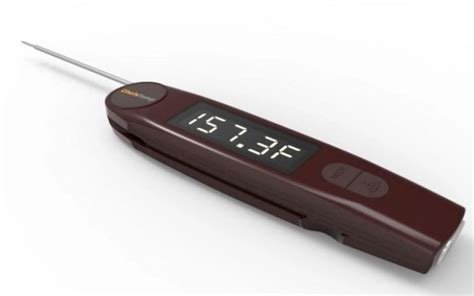 Where to Place Thermometer in Turkey to Get Accurate Results