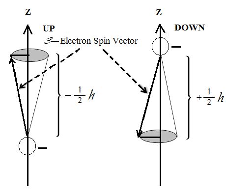 Vectorial representations of an electron's spin magnetic moment, an UP ...