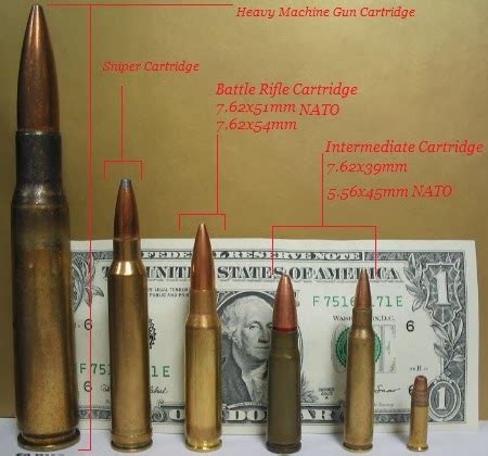 THE TACTICIANS DATABASE: Battle Rifle vs Assault Rifle