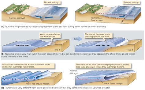 Tsunami Science