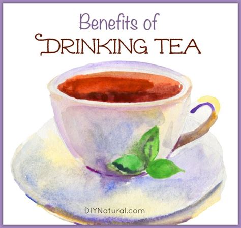 Benefits of Tea - Green, Black, White, Herbal, and More