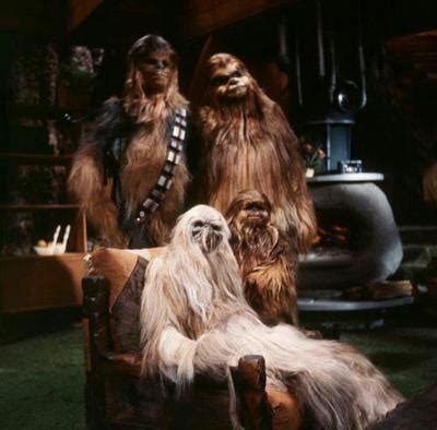 32 best Wookiees images on Pinterest | Star wars, Starwars and Chewbacca