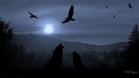 🔥 [70+] Dark Wolf Wallpapers | WallpaperSafari