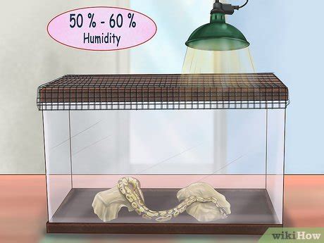 5 Ways to Care for Your Ball Python - wikiHow