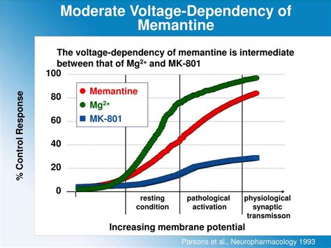 PPT - Properties of Memantine and Mechanism of Action PowerPoint Presentation - ID:4501483