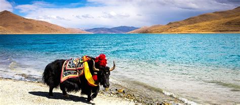 Tibet Heritage Tour