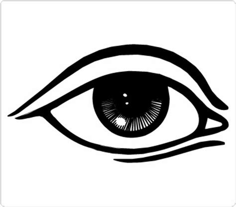 Download High Quality eye clipart black and white Transparent PNG Images - Art Prim clip arts 2019