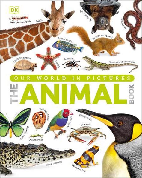 Our World in Pictures The Animal Book by DK, Hardcover, 9781409323495 ...