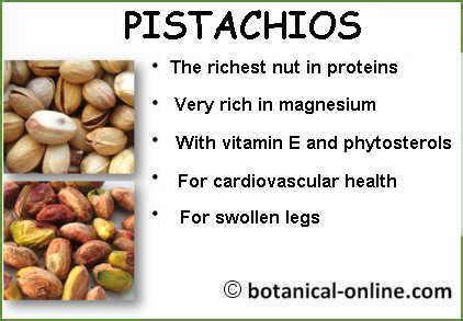 Pistachio nutritional benefits – Botanical online